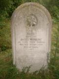 image of grave number 259052